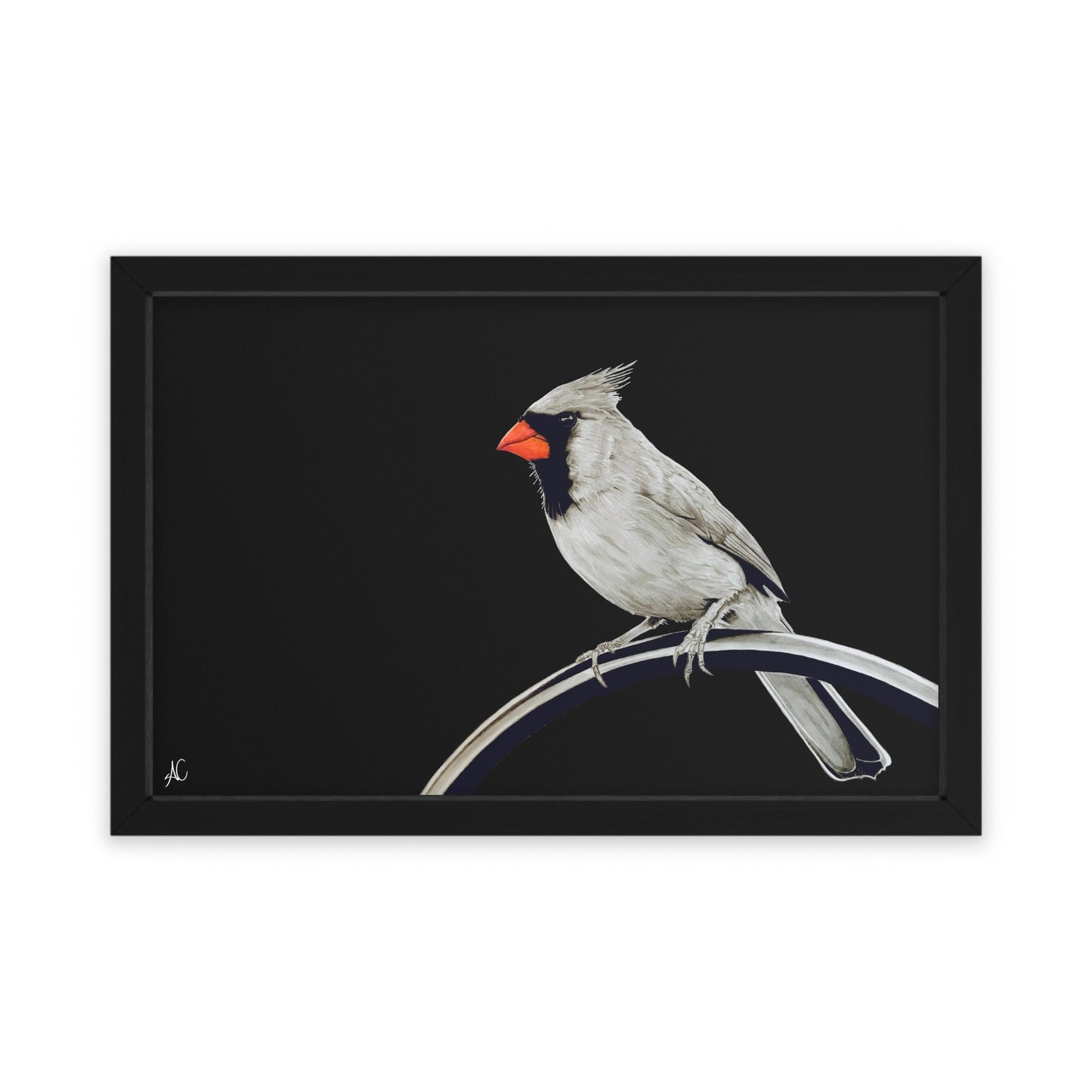 Cardinal Framed Poster Print