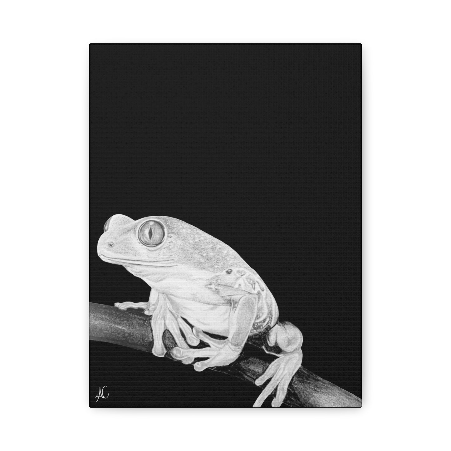 Frog Matte Canvas Print