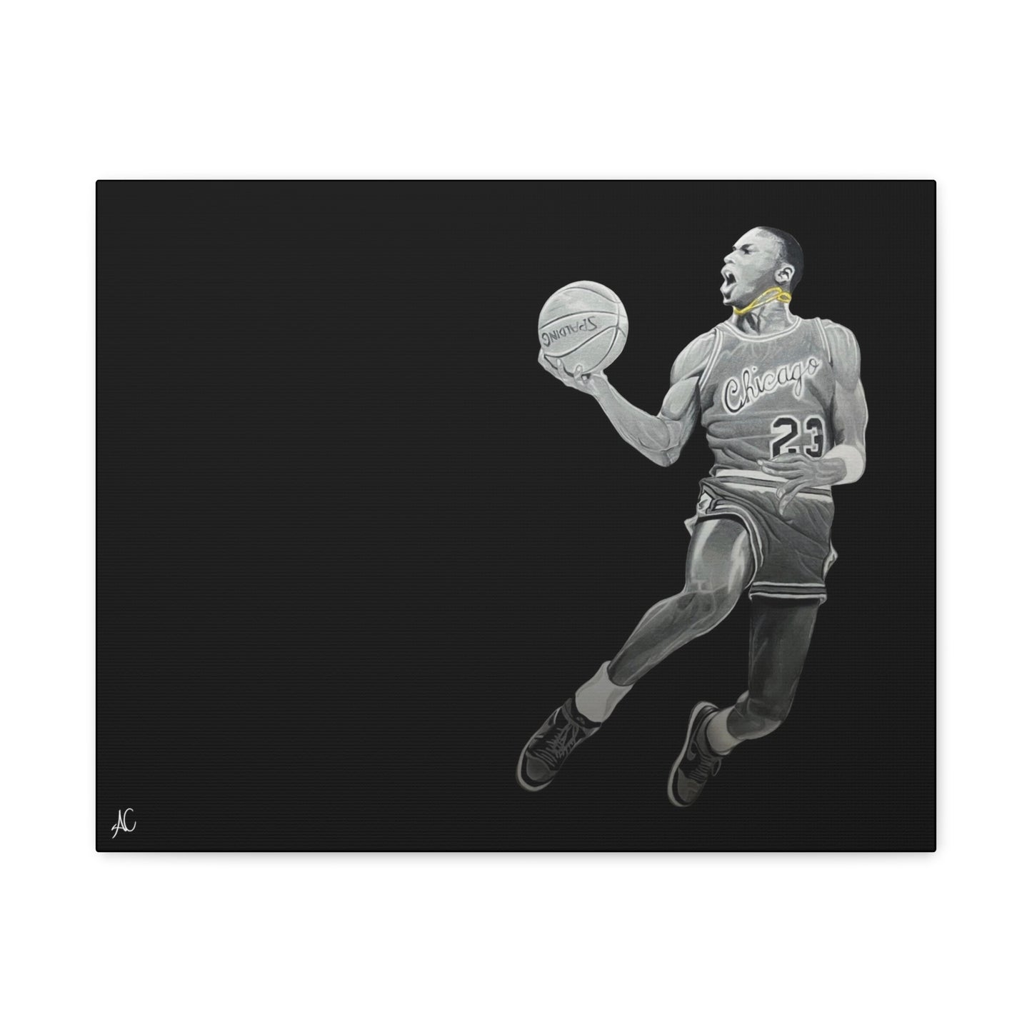 MJ Matte Canvas Print