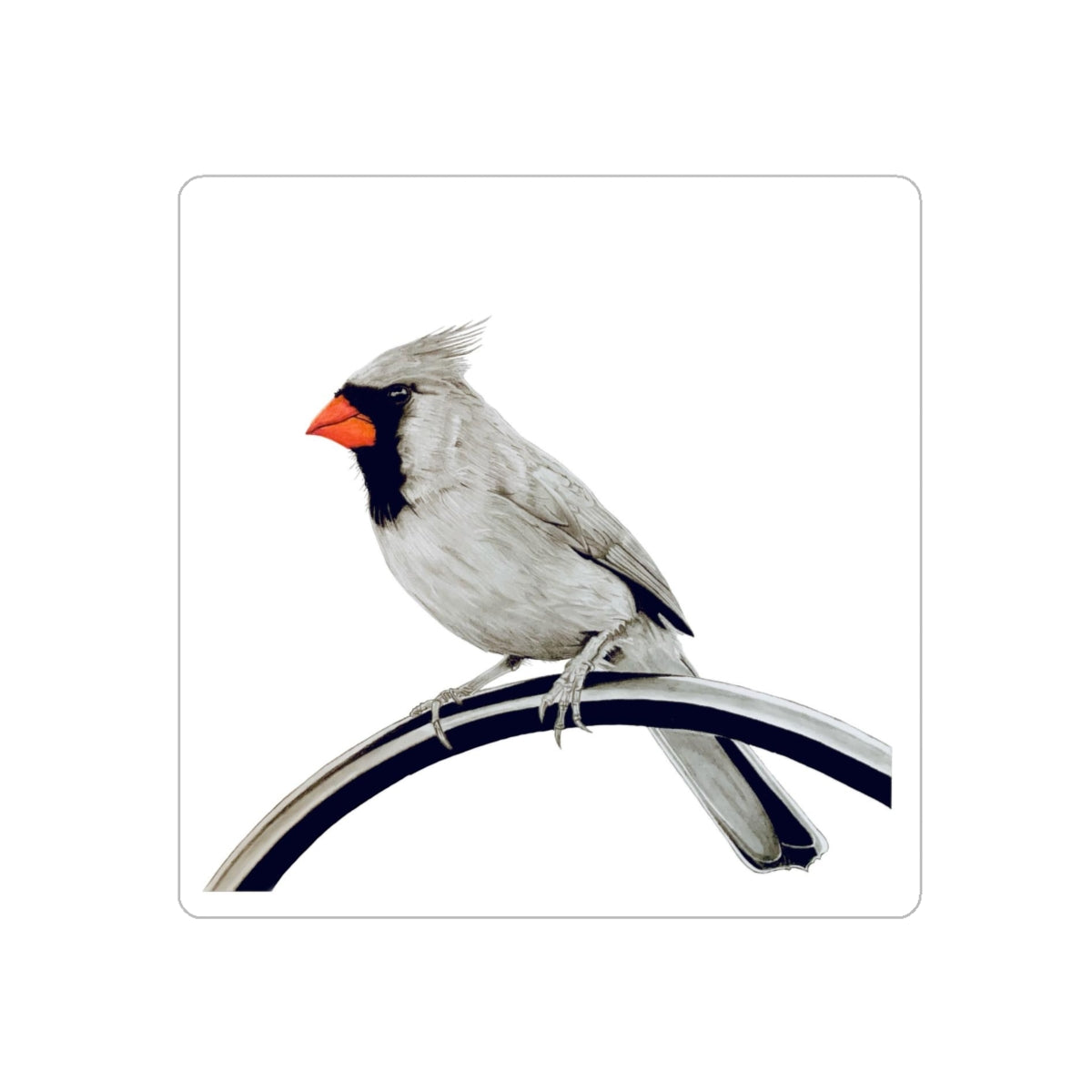 Cardinal Transparent Sticker, 1 count