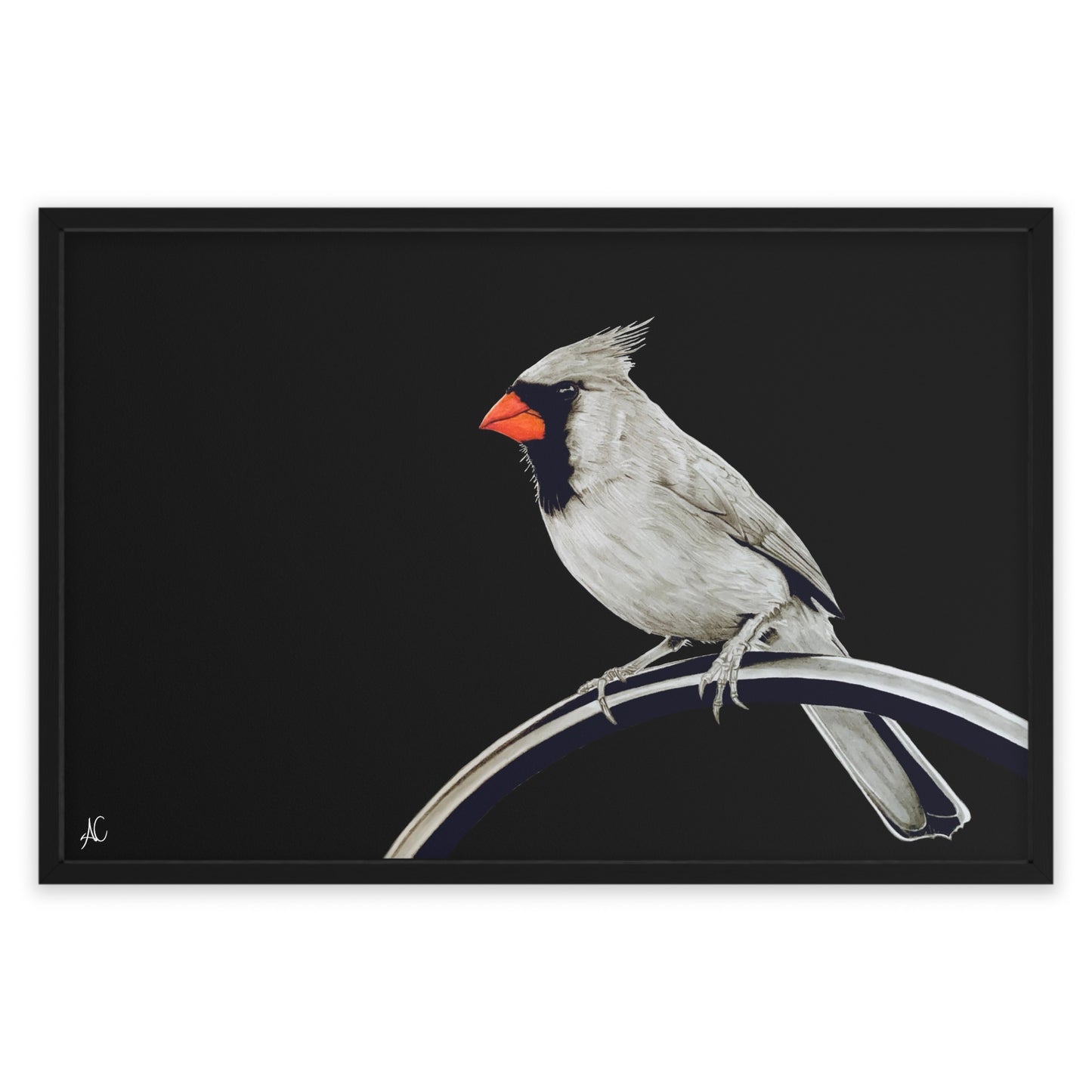 Cardinal Framed Poster Print