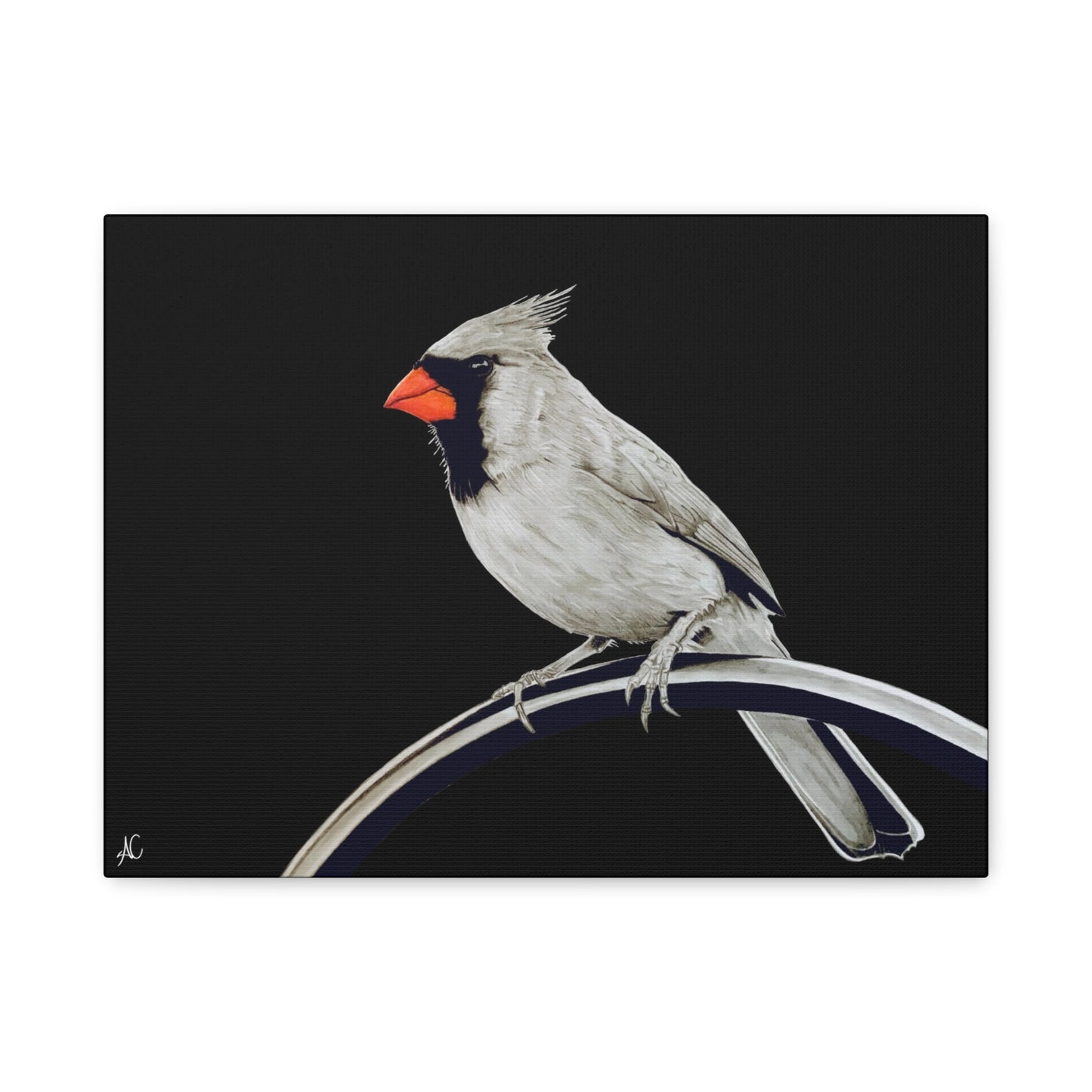 Cardinal Matte Canvas Print