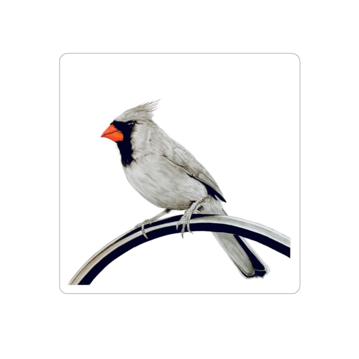 Cardinal Transparent Sticker, 1 count