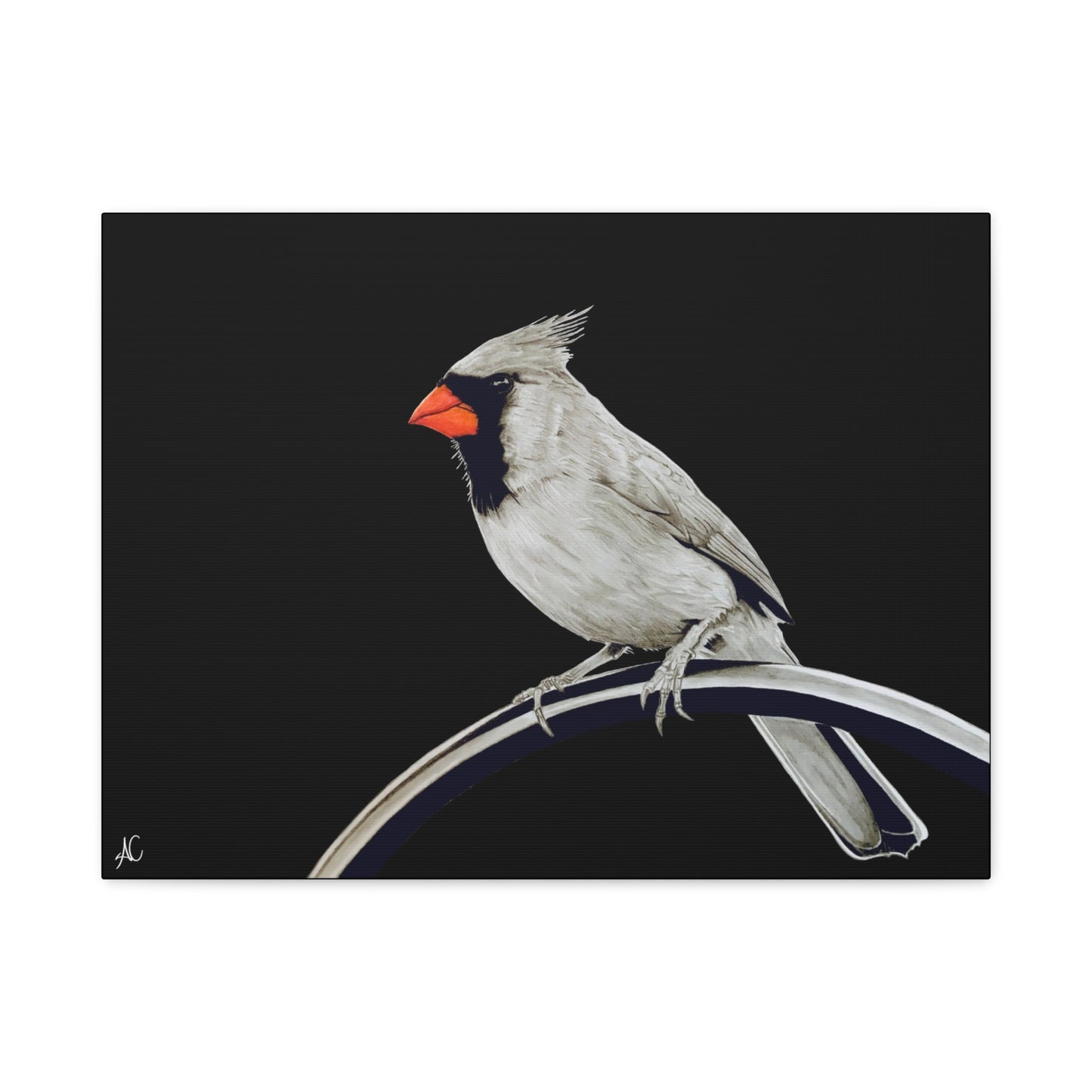 Cardinal Matte Canvas Print