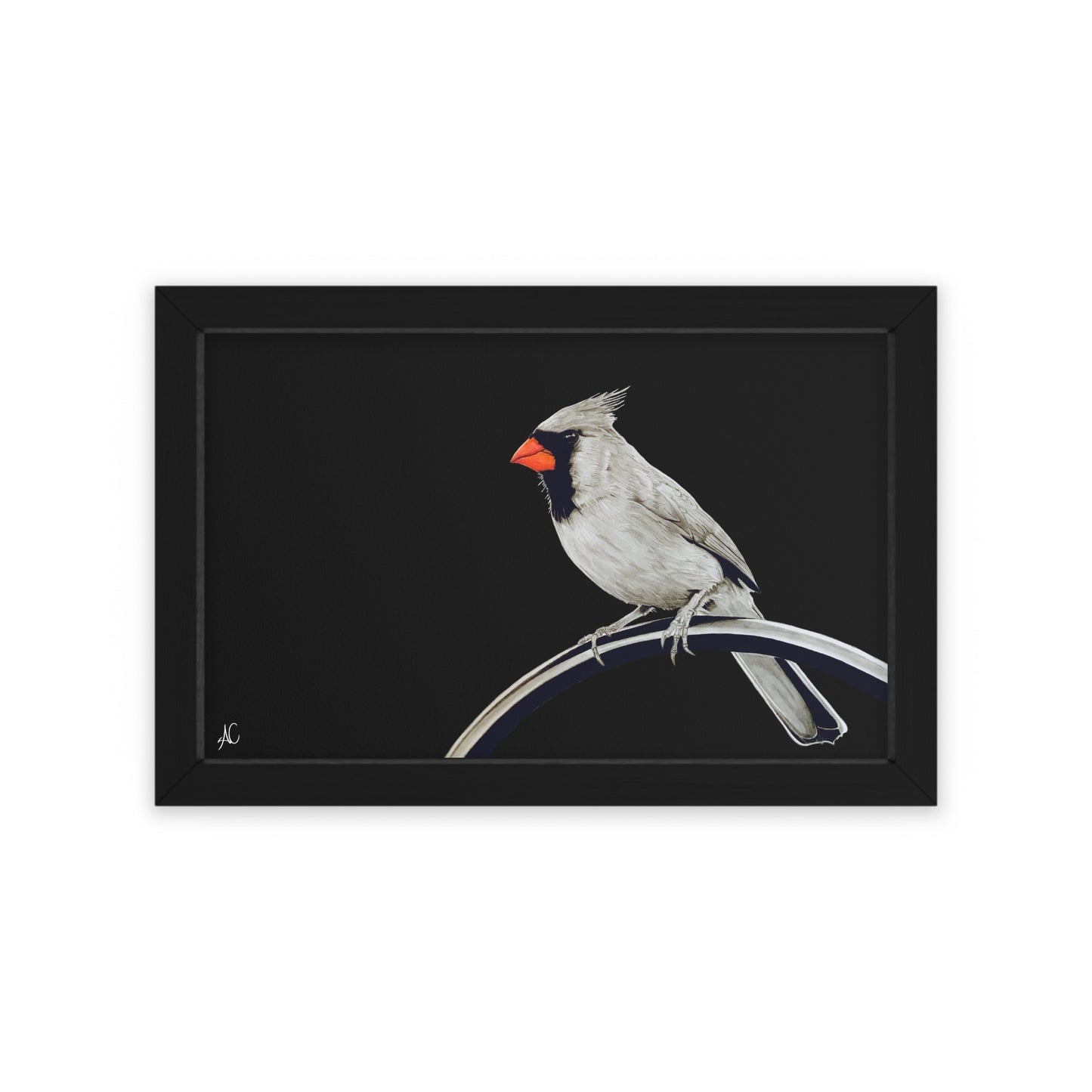 Cardinal Framed Poster Print