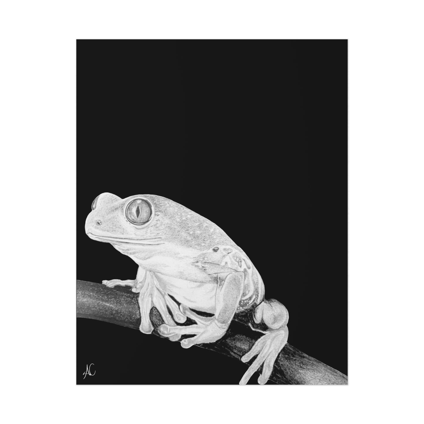 Frog Poster Print