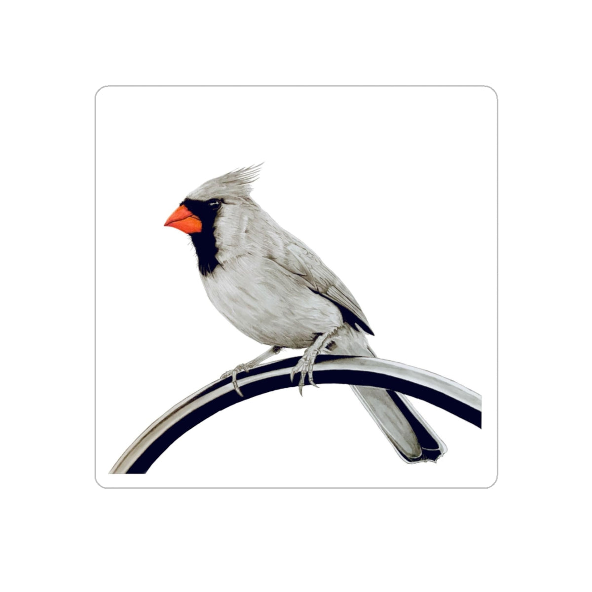 Cardinal Transparent Sticker, 1 count