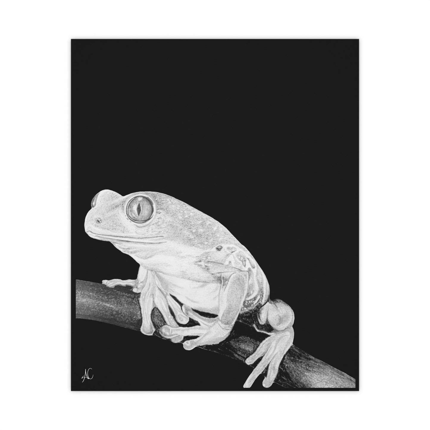 Frog Premium Matte Poster Print