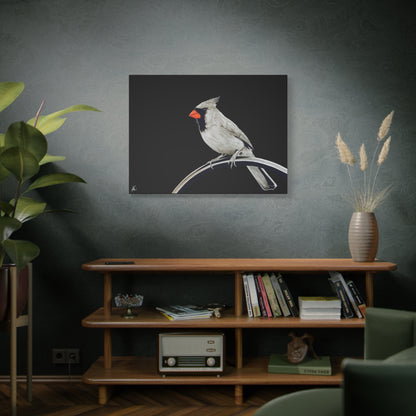 Cardinal Matte Canvas Print