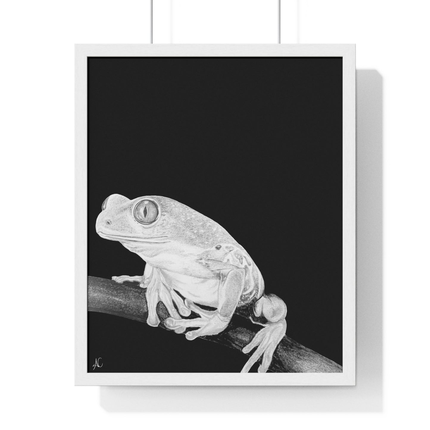 Frog Premium Framed Poster Print