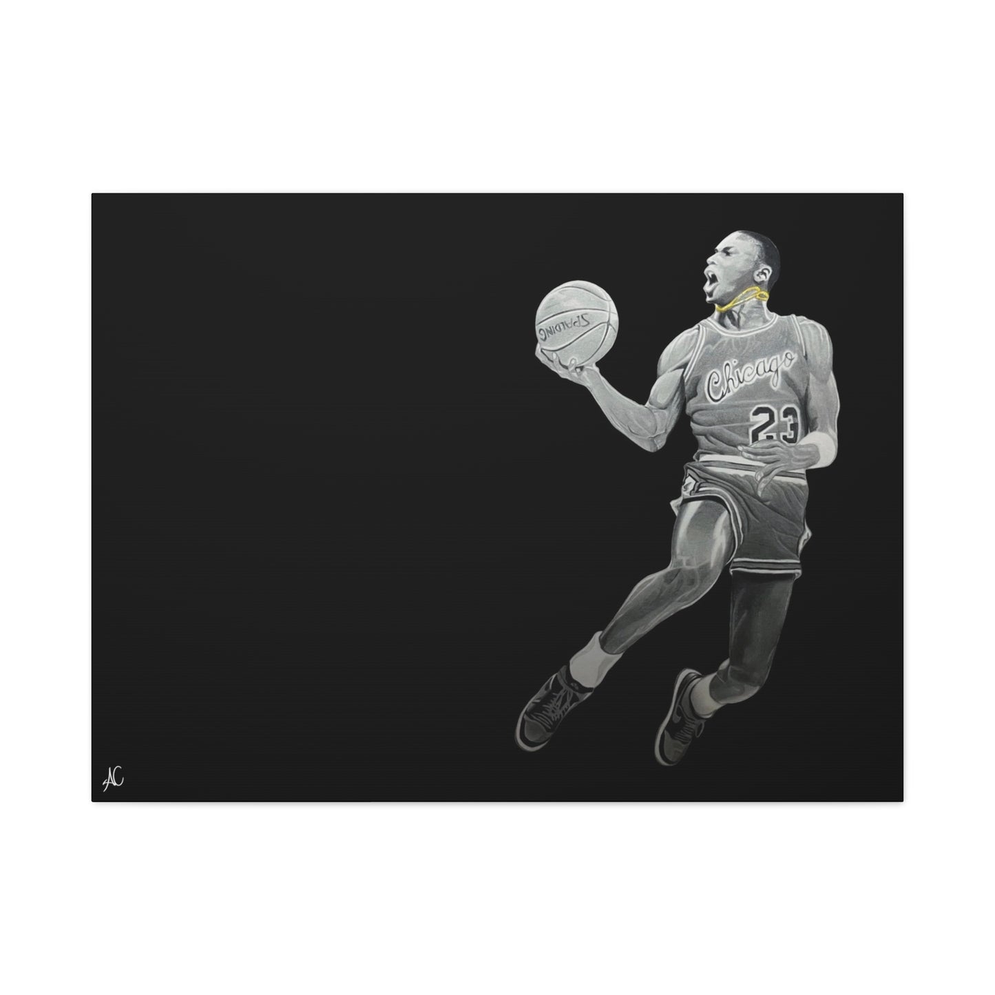 MJ Matte Canvas Print