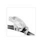 Frog Transparent Stickers, 1 count