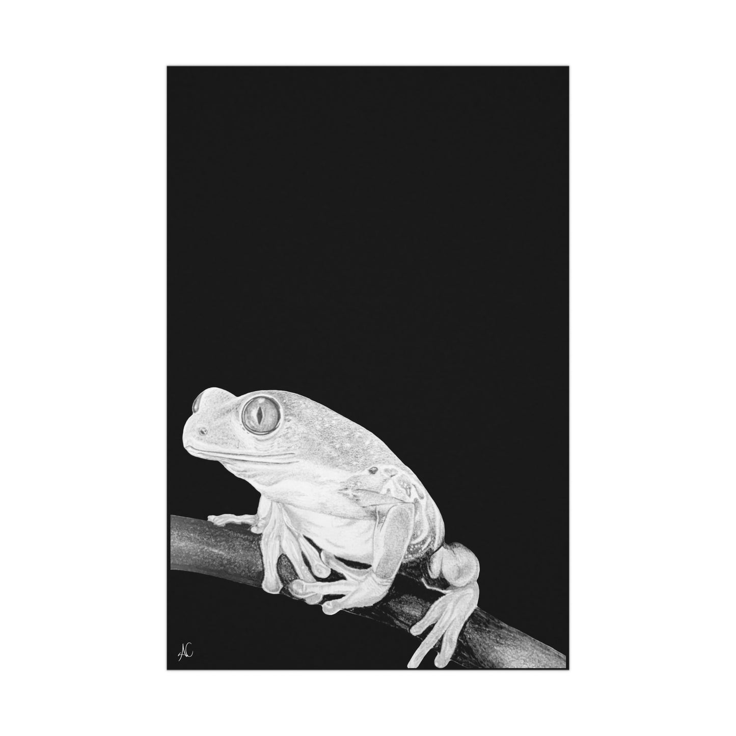 Frog Premium Matte Poster Print